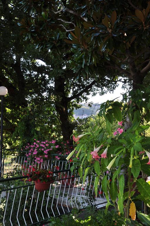 Hotel Firenze Chianciano Terme Chambre photo